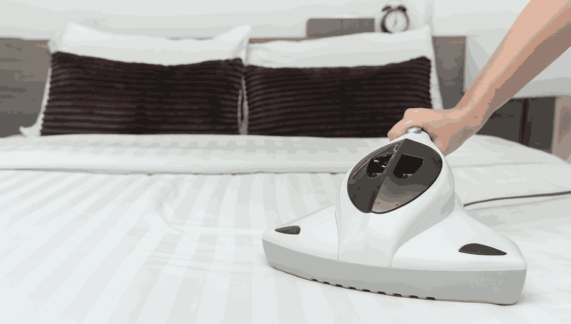 Professional Mattress Cleaning Watergardens